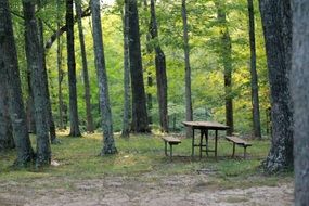 Table with benches in the forest