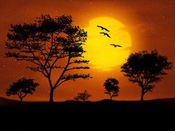 Silhouettes of trees and birds on the background of the setting sun