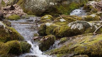 stream among the stones in the moss