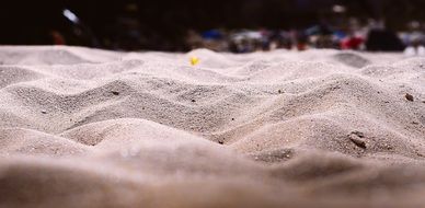 delightful sand macro