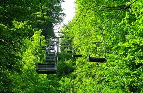 chairlift among green crowns