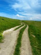 path among the green grass on a sunny day