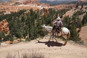 cowboy on white horse canyon view