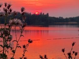 bright pink sunset over the lake