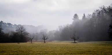 foggy fall landscape