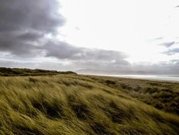 green windy meadow in ireland