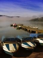 delightful boats port