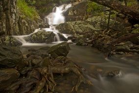 Cascade in a tropical forest