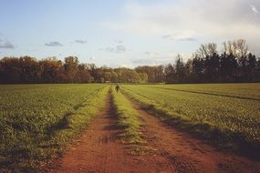 picture of the path on a field