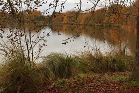 delightful pond