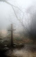 cross on a swamp in the autumn forest