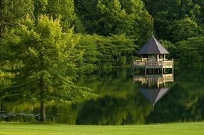 summer green park landscape