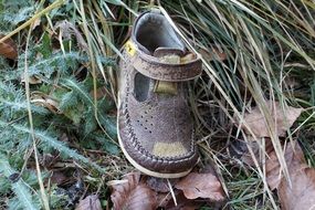children's shoe on ground