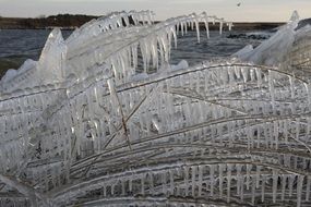 icy nature of friesland in the netherlands