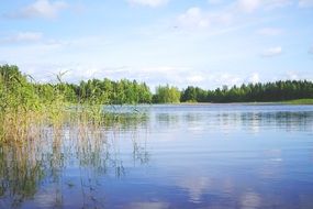 Quiet and beautiful lake among the plants, finland