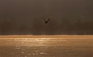idyllic sunrise over the lake