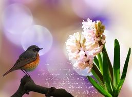 digital painting depicts a bird that looks at Hyacinth