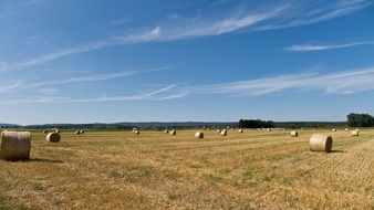 hay bales on a rural field