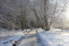 road in the winter snowy forest