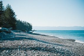 Shoreline of the ocean with pebbles and trees
