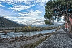 Tree near the trail by the river on beautiful landscape in Albenga, Liguria, Italy