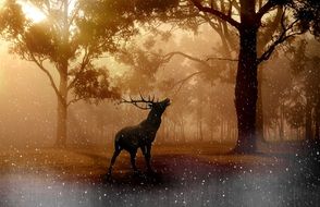 deer in a magical landscape