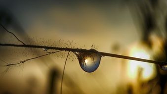 water drop liquid