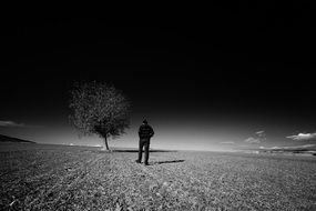 man near the tree at night