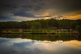 beautiful landscape of sunrise in the forest