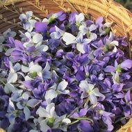 harvest of purple wildflowers