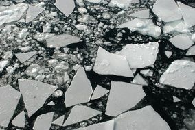 ice floes on the water in Norway