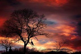 Cemetery on the background of crimson sky