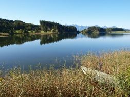 blue lake Forggensee on a summer day