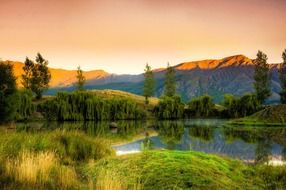 bendemeer estates in wilderness nature