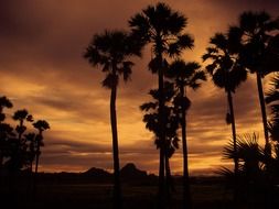Sunset in Thailand