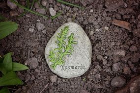 stone with a picture and the inscription rosemarin