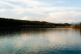 peaceful natural lake in autumn