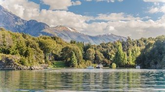 green trees by the lake in Nahuel Huapi