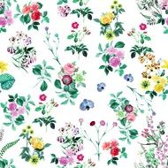 clipart of colorful tropical flowers background