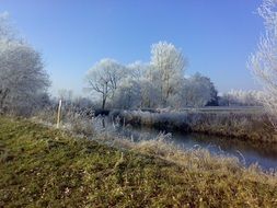 Landscape of the beautiful green forest with trees in hoarfrost in the winter