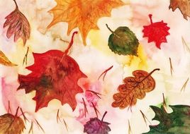 Drawing of the colorful maple leaves