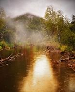 Rain on the pond in the forest