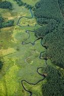 landscape of green twisting river