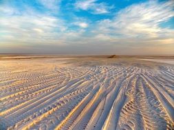 landscape of sand desert