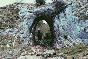 Natural bridge among the stones with plant