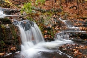 rocky waterfall in the forest