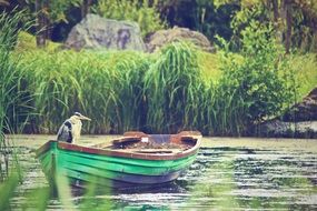 boat heron lake grunge quiet