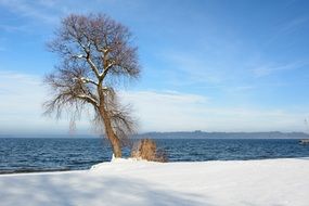 sunny winter day on the lake