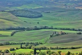 panorama of green fields in Tuscany