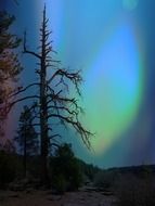 northern lights at winter night